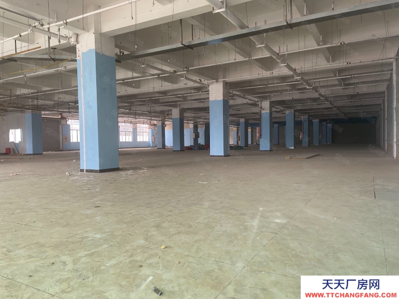 (出租)廣州南沙 單一層高臺倉庫,3000平方,空地大,靠大路邊,有消防證