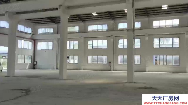 (出租) 廣州南沙欖核13000方高臺倉庫出租,高度10米,丙二類消防