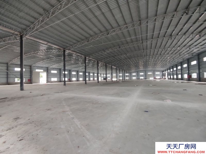 (出租) 廣州南沙欖核13000方高臺倉庫出租,高度10米,丙二類消防