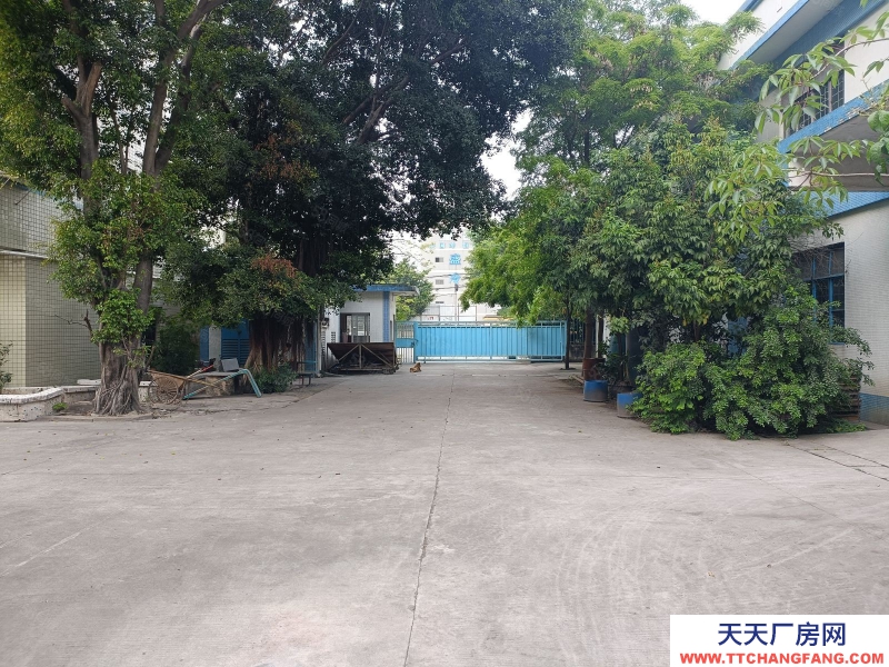 (出租) 東涌廣珠路獨門獨院工業園4500平低價倉庫出租單一層廠房出租