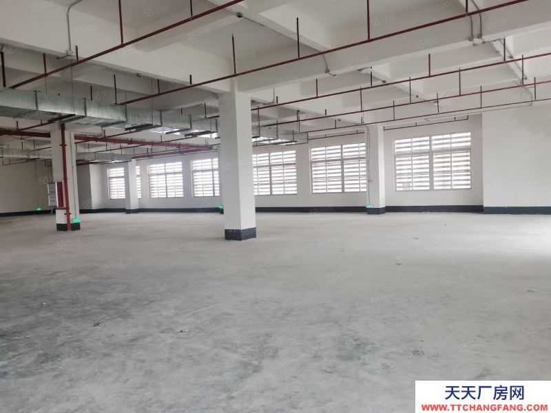 (出租)廣州 天河區園區標準一樓廠房倉庫出租1200平方,證件齊,空地大