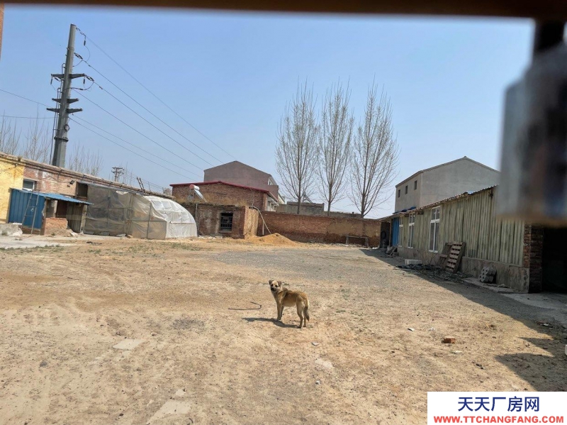 石家莊 辛集  新壘頭工業(yè)區(qū)廠房帶院帶場(chǎng)地出租