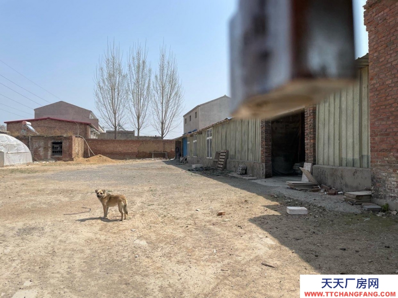 石家莊 辛集  新壘頭工業(yè)區(qū)廠房帶院帶場(chǎng)地出租