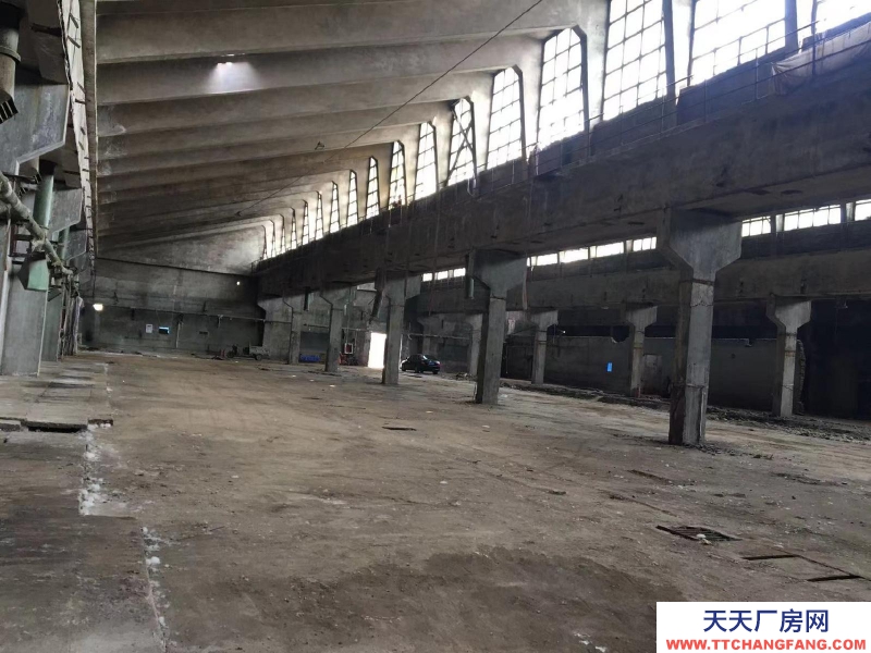 石家莊 辛集辛集城區(qū)廠庫房門店