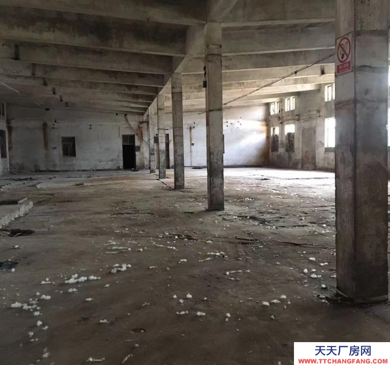 石家莊 辛集辛集城區(qū)廠庫房門店