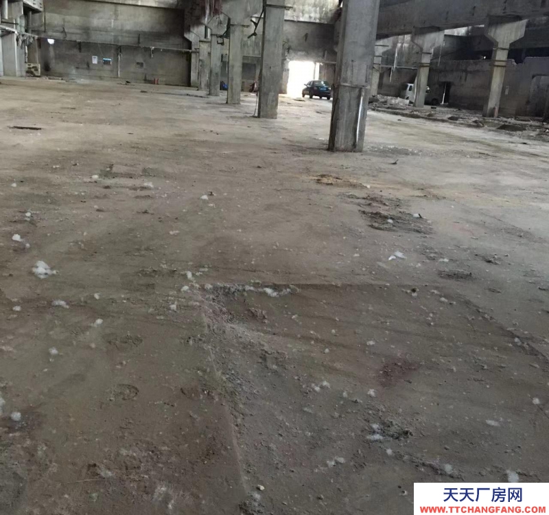 石家莊 辛集辛集城區門店