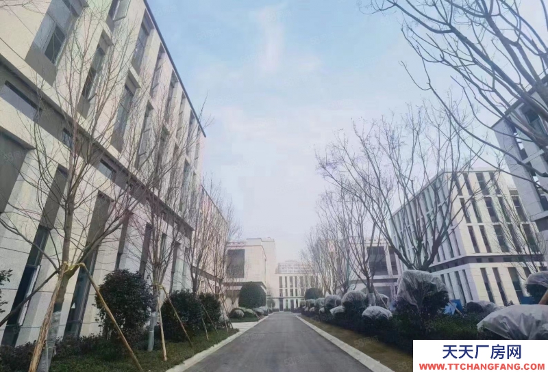 重慶 巴南鹿角內環旁獨棟工業廠房出售,帶產權,無重污染行業可入園