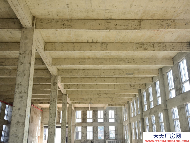 重慶長壽精選食品廠房,園區(qū)扶持力度大