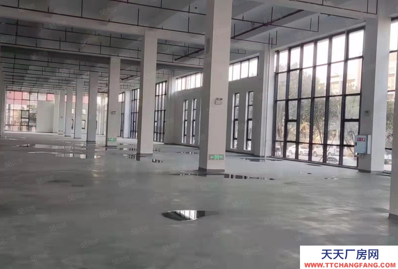 出租 重慶 長壽 獨棟廠房 行業不限