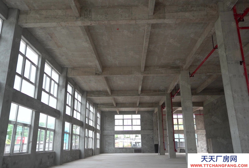 (出售) 重慶江津低價標準食品廠房出售