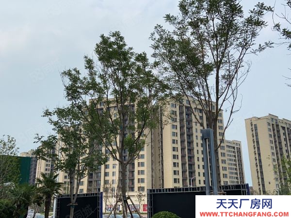 (出售) 鄭州中原薛店，港區周邊平層廠房，企業獨棟