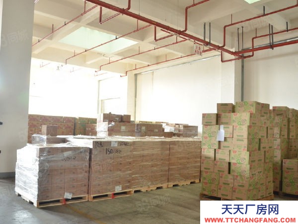 (出租) 鄭州管城南三環(huán)萬盟電商園50~500平電商倉庫廠房出租 有環(huán)評發(fā)貨快