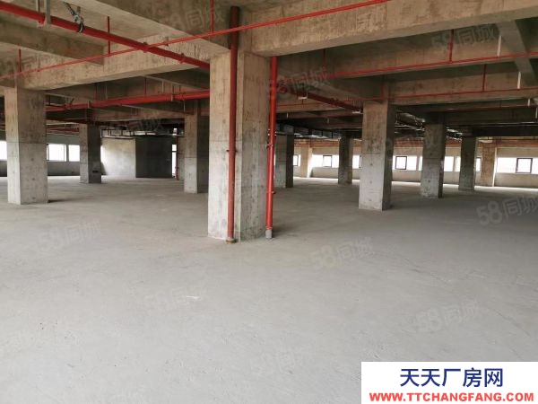 (出租) 全新標準化廠房 租售 宿舍食堂等全面配套