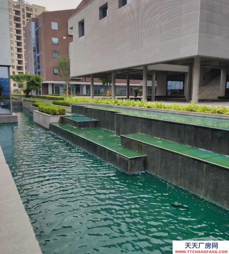 (出售) 鄭州管城華南城周邊大平層廠房,倉庫,企業獨棟