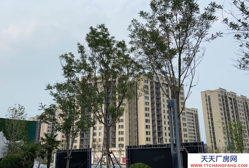 (出售) 鄭州管城華南城周邊大平層廠房,倉庫,企業獨棟