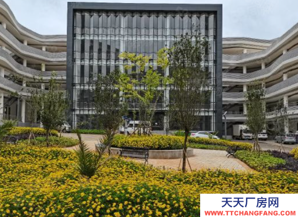 (出租) 國企保障，全新標準廠房出租，無中介，食堂宿舍配套齊全