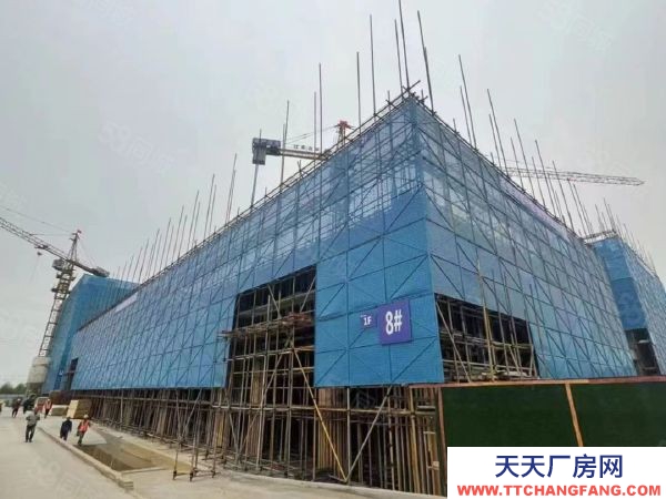 南京市鼓樓區中國南山 橋林唯一在售廠房 交通便利 產業集聚 層高8.1米