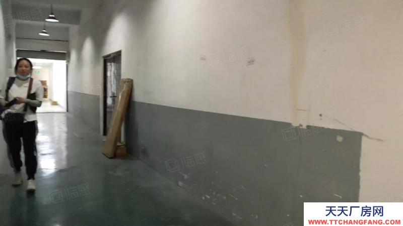 杭州上城(出租) 直租城東新城倉庫330方特價處理，層高4米，后一間得房率高