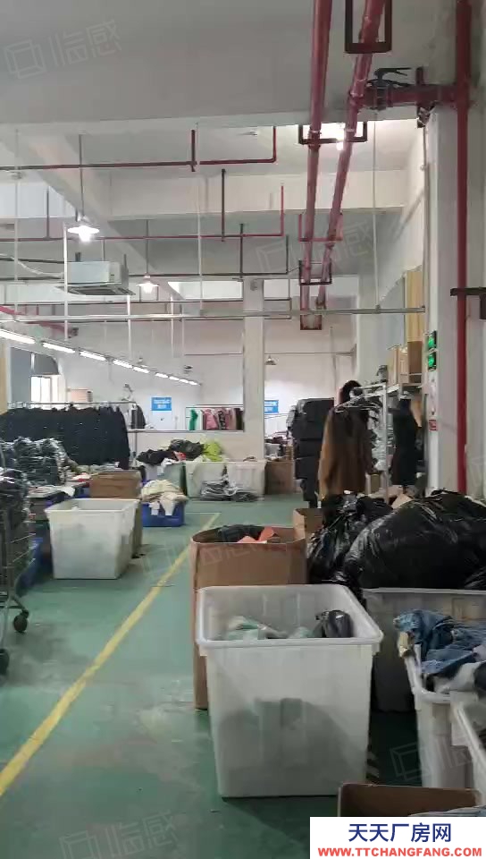 杭州上城(出租) 九堡一樓倉庫出租 1280方 可分租 適合各類倉儲使用