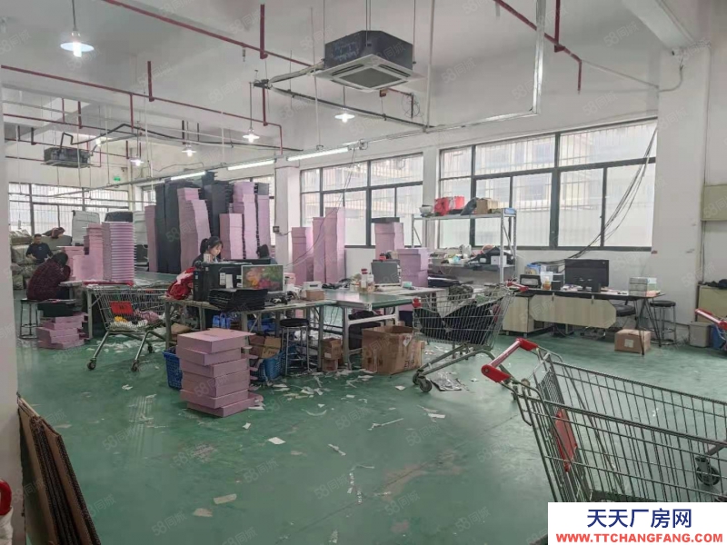 杭州上城(出租) 九堡一樓倉(cāng)庫(kù)出租 1280方 可分租 適合各類(lèi)倉(cāng)儲(chǔ)使用