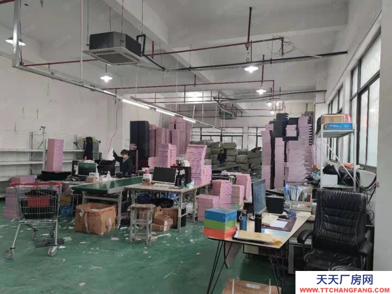 杭州上城(出租) 九堡一樓倉(cāng)庫(kù)出租 1280方 可分租 適合各類(lèi)倉(cāng)儲(chǔ)使用