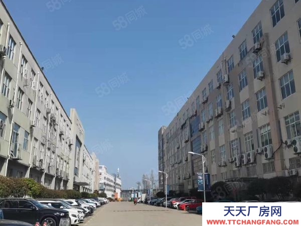 南京市秦淮區(qū)非中介 花園獨棟 政府載體 二層獨棟