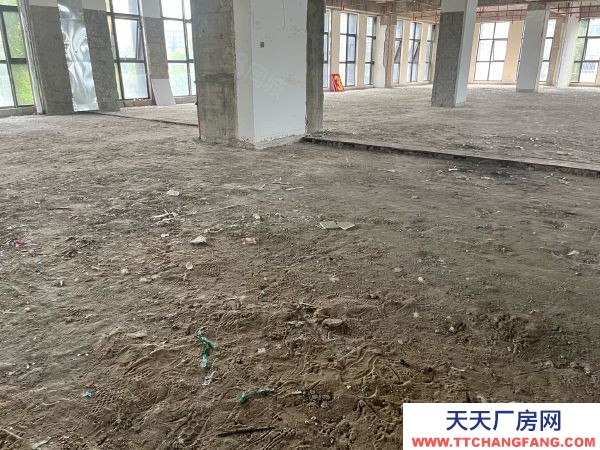 南京市秦淮區(qū) 大明路 卡子門 南站產(chǎn)業(yè)園區(qū) 層高6米 辦公倉儲面積可分割