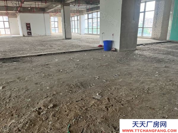 南京市秦淮區 大明路 卡子門 南站產業園區 層高6米 辦公倉儲面積可分割