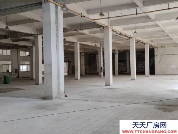 南京市秦淮區麒麟倉庫 房源出租 可做倉庫儲存 城市配送 電商 高