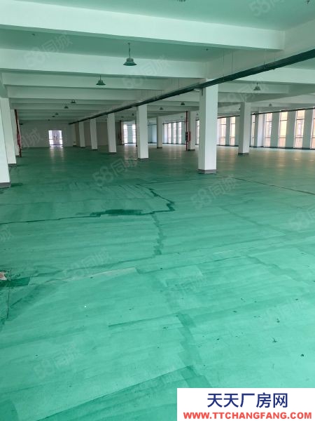 南京市秦淮區(qū)7000平倉庫岀租,50至1000平的需求,可托管