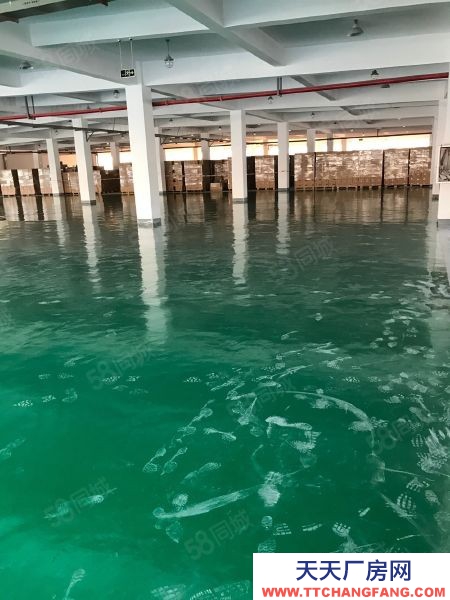 南京秦淮區全托管倉庫出租,50至1000的需求,代收代發,全國物流