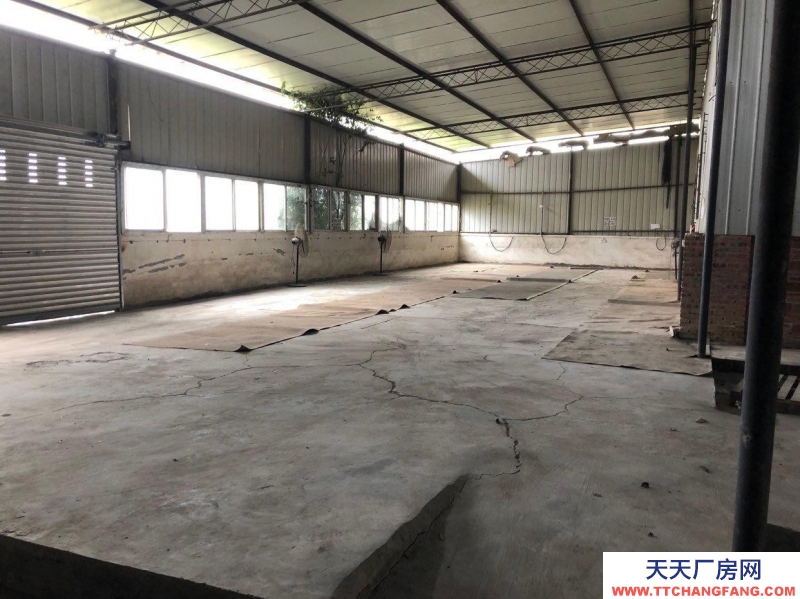 (出租) 重慶永川可租可售 標準化廠房 所有配套設施齊全