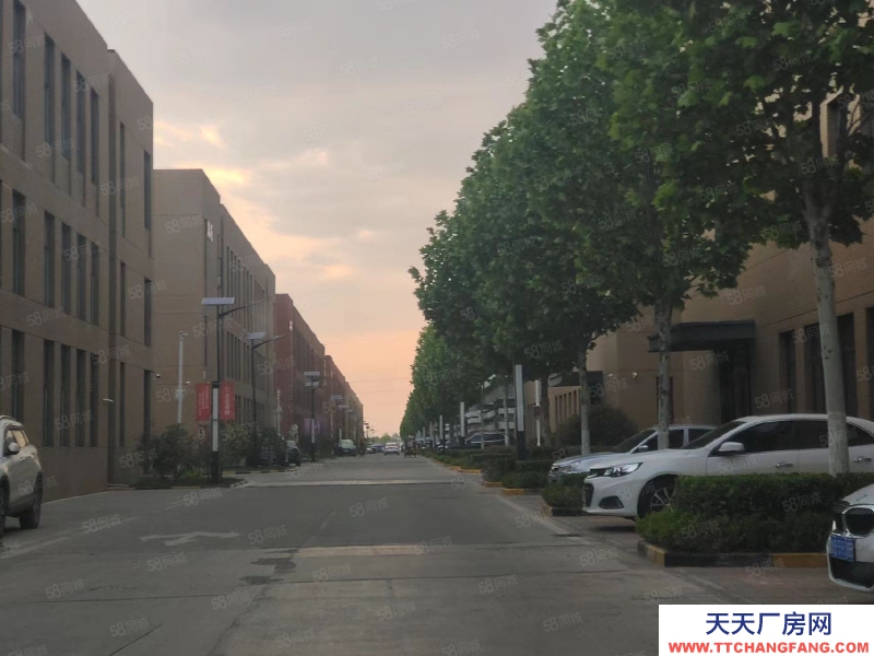 青島市北9米層高，3000平2層獨棟，出售