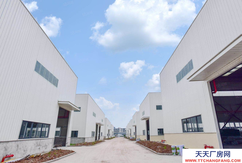 (出租) 重慶永川12米單層廠房出租！可分!