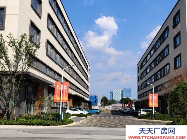 南京市六合區江北新區 8004000平 生產研發辦公倉儲 可開票