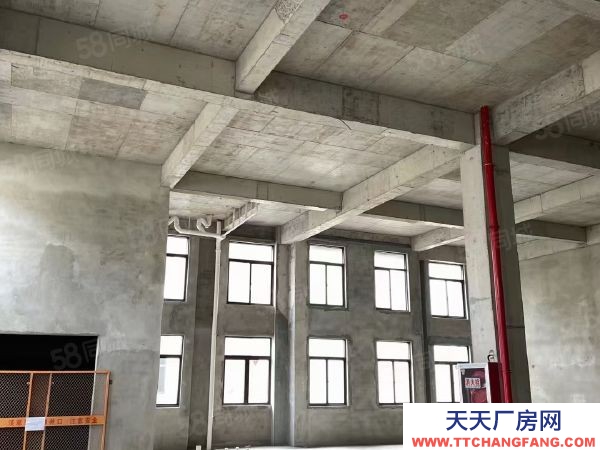 南京市六合區(qū)現(xiàn)房出租 急租 給錢就租