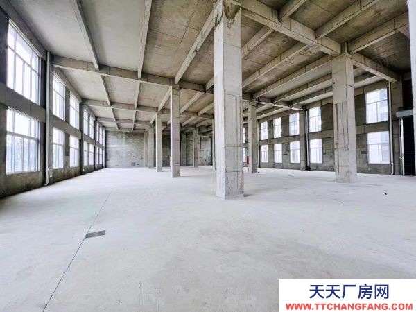 南京市六合區急急 天長市開發區 坤安智造 5萬平直售