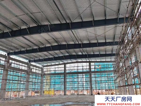 南京市六合區急急 天長市開發區 坤安智造 5萬平直售