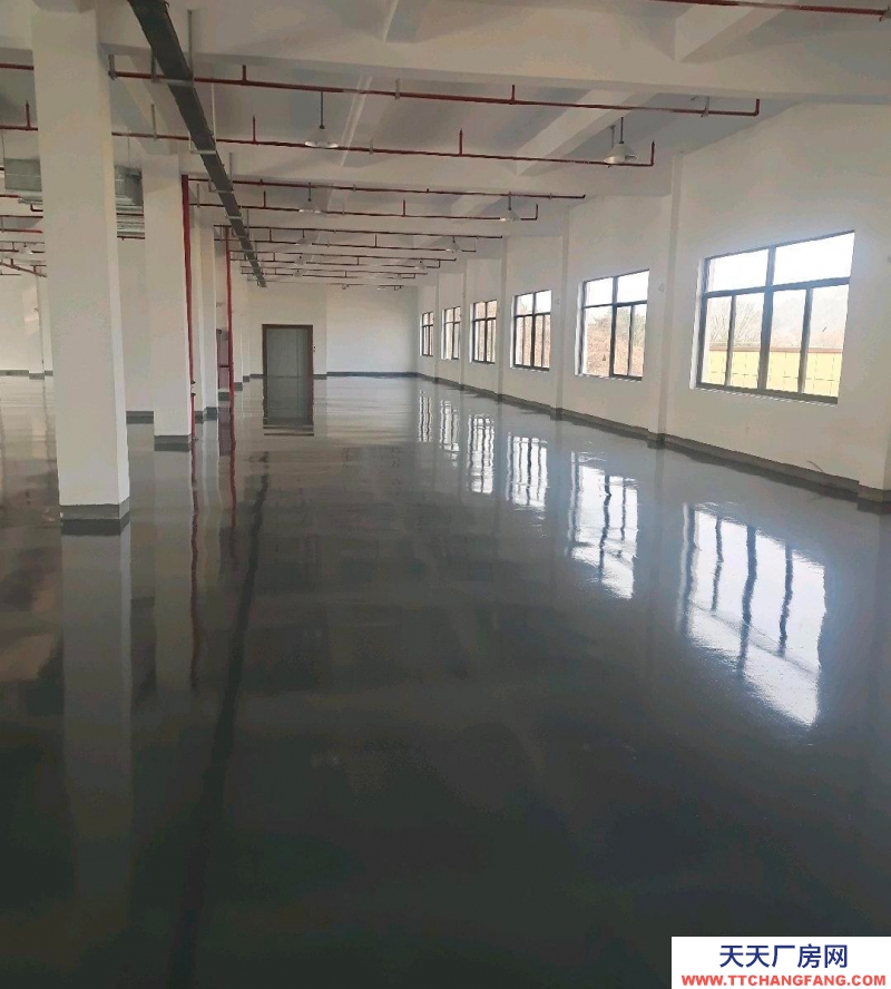 杭州蕭山(出租) 杭州西復線二繞高速諸暨應店街出口處標準廠房