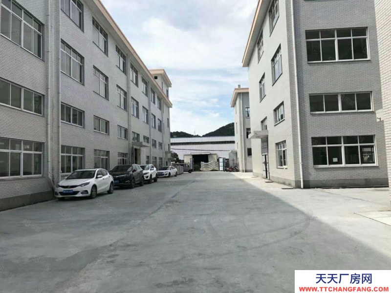 杭州蕭山(出租) 義橋新出廠房2250方,一樓層高6.5米,可分租