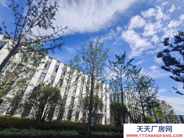 南京市雨花經濟數字專題園區,可貸款有政策,高標準園區