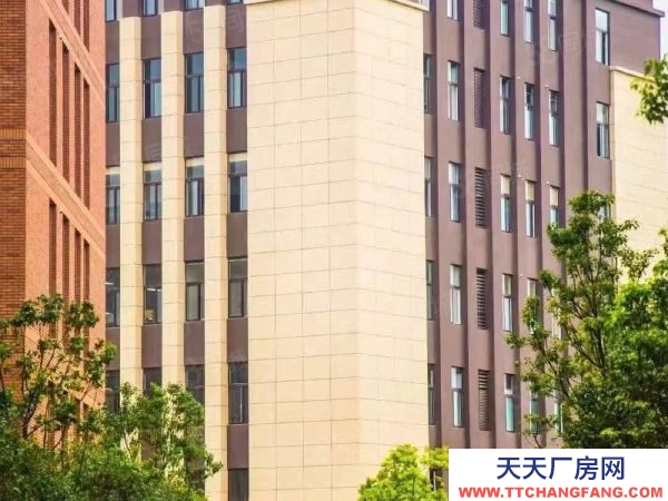 南京市雨花臺區 獨棟1600平標準廠房出售!可掛墻體品牌,50年雙證大產權