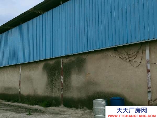 (出租) 小坡水果市場對面太和街道辦事處背后