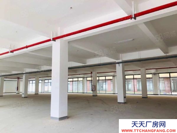 南京市雨花臺區秣周東路地鐵站未來科技城0.8元可分租標準全新獨棟廠房