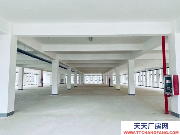 南京市雨花臺區秣周東路地鐵站未來科技城0.8元可分租標準全新獨棟廠房