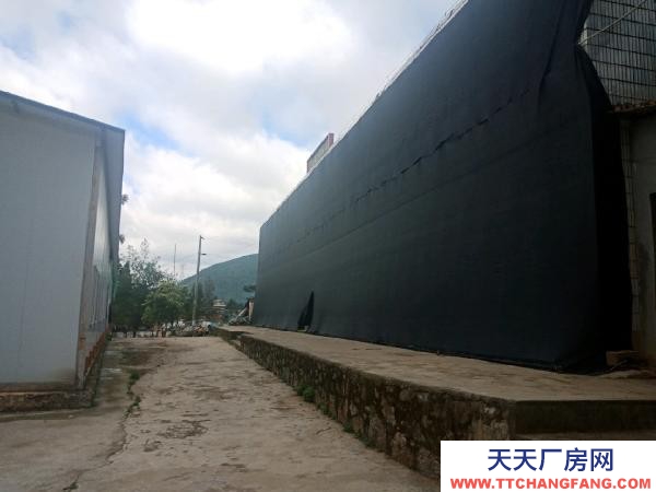 (出租) 該廠房為獨立院子,占地13畝,四周有圍墻