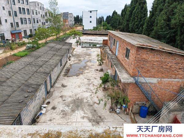 (出租) 本廠房適合加工、倉庫、停車位等多型運用，也合適作為農家樂