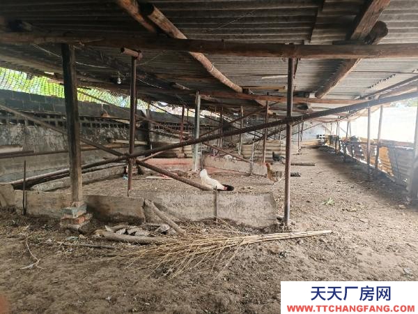 (出租) 本廠房適合加工、倉庫、停車位等多型運用，也合適作為農家樂