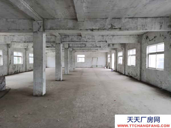 南京市雨花臺區 123省道邊（老寧溧公路）廠房出租