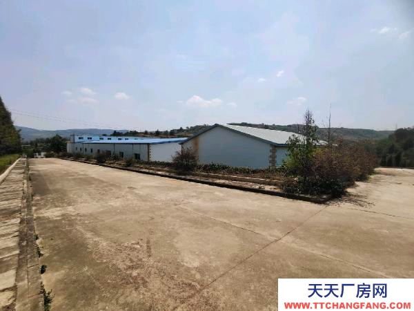 (出租) 西片區(qū)標(biāo)準(zhǔn)廠房倉庫出租，出讓